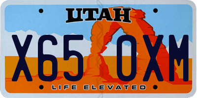 UT license plate X650XM