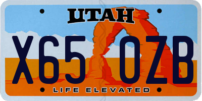 UT license plate X650ZB