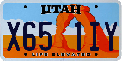 UT license plate X651IY