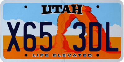UT license plate X653DL