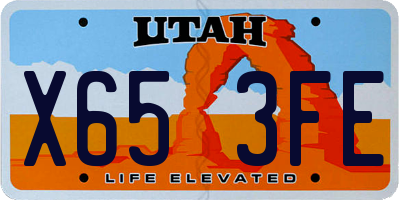 UT license plate X653FE