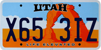 UT license plate X653IZ