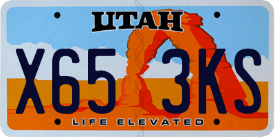 UT license plate X653KS
