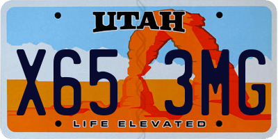UT license plate X653MG