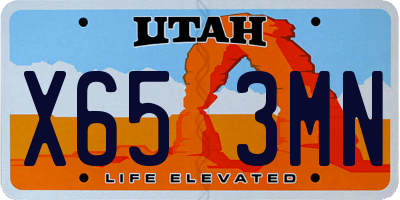 UT license plate X653MN