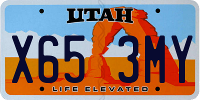 UT license plate X653MY