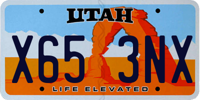 UT license plate X653NX
