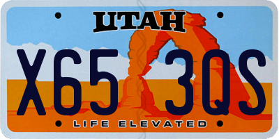 UT license plate X653QS