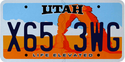 UT license plate X653WG