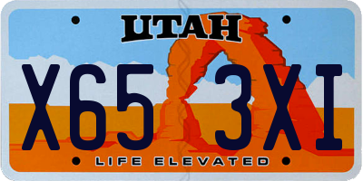 UT license plate X653XI