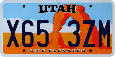UT license plate X653ZM