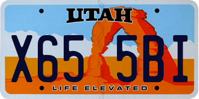UT license plate X655BI