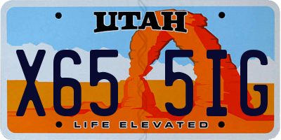 UT license plate X655IG
