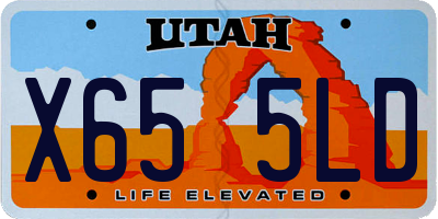 UT license plate X655LD
