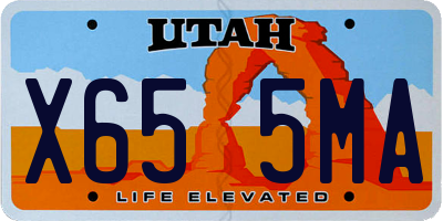 UT license plate X655MA
