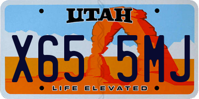 UT license plate X655MJ