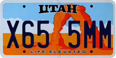 UT license plate X655MM