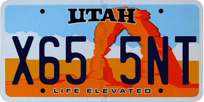 UT license plate X655NT