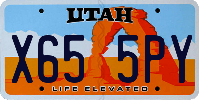 UT license plate X655PY