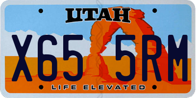 UT license plate X655RM