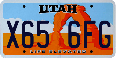 UT license plate X656FG