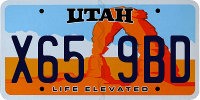 UT license plate X659BD
