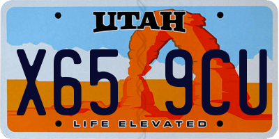 UT license plate X659CU