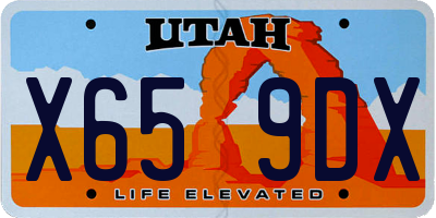UT license plate X659DX