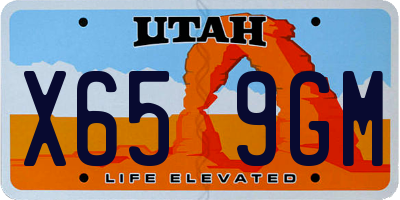UT license plate X659GM