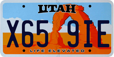 UT license plate X659IE