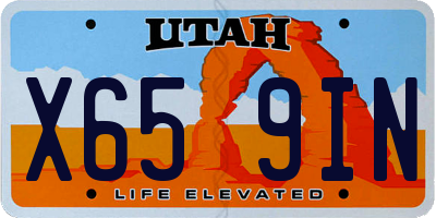 UT license plate X659IN