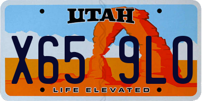 UT license plate X659LO