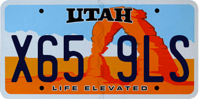 UT license plate X659LS