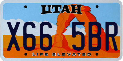 UT license plate X665BR