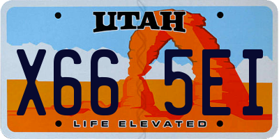UT license plate X665EI