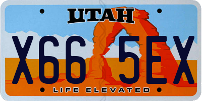 UT license plate X665EX