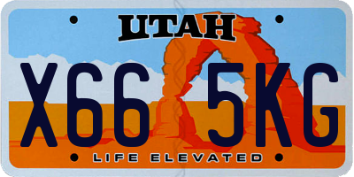 UT license plate X665KG