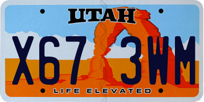 UT license plate X673WM