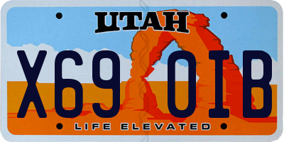 UT license plate X690IB