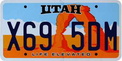 UT license plate X695DM