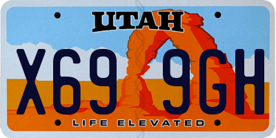 UT license plate X699GH