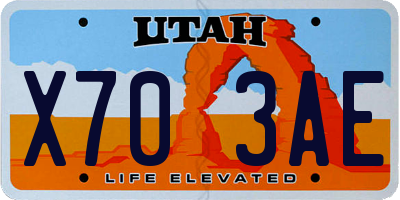 UT license plate X703AE
