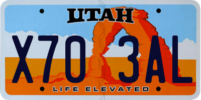 UT license plate X703AL