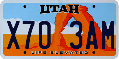 UT license plate X703AM