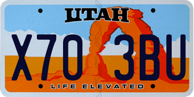 UT license plate X703BU