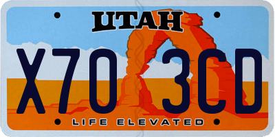 UT license plate X703CD