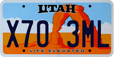 UT license plate X703ML