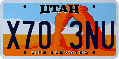 UT license plate X703NU