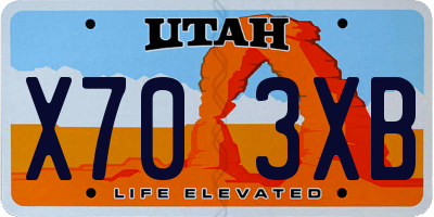 UT license plate X703XB