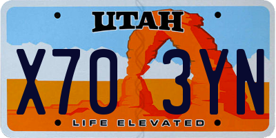 UT license plate X703YN